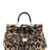 Women * | Leopard Leather Mini 'Sicily' Bag Dolce & Gabbana Discounts Black/Brown